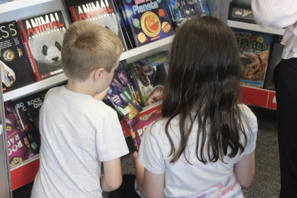 Book Fair