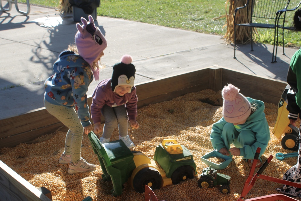 Pumpkin Patch