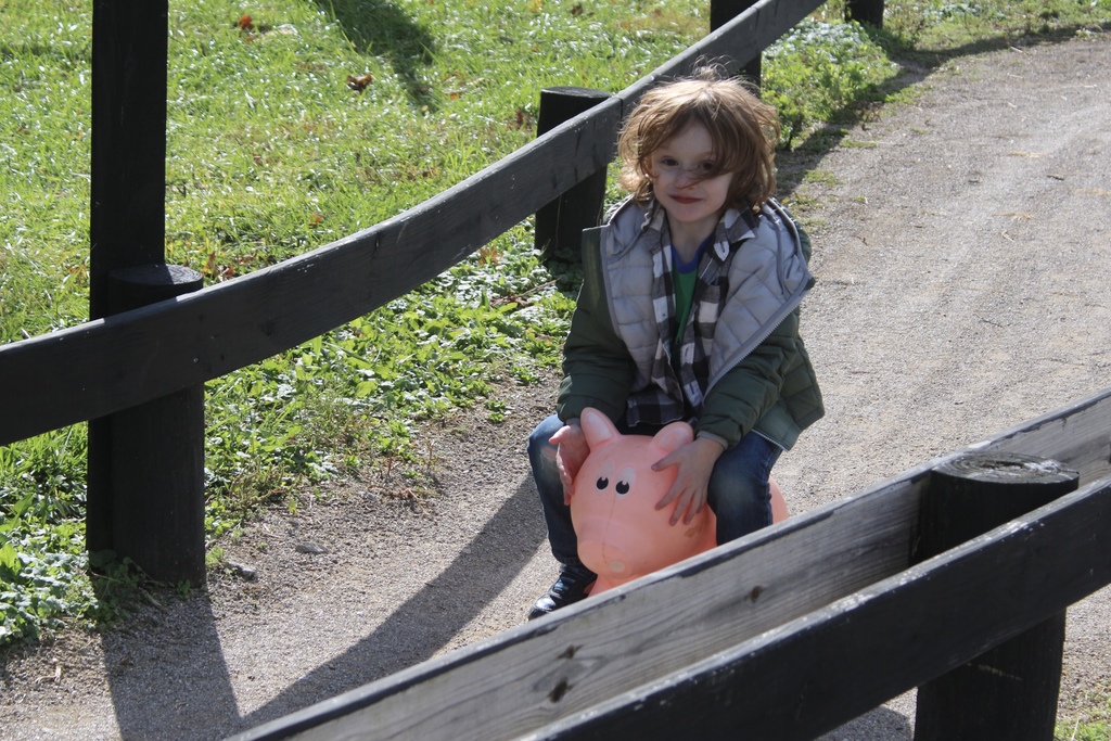 Pumpkin Patch