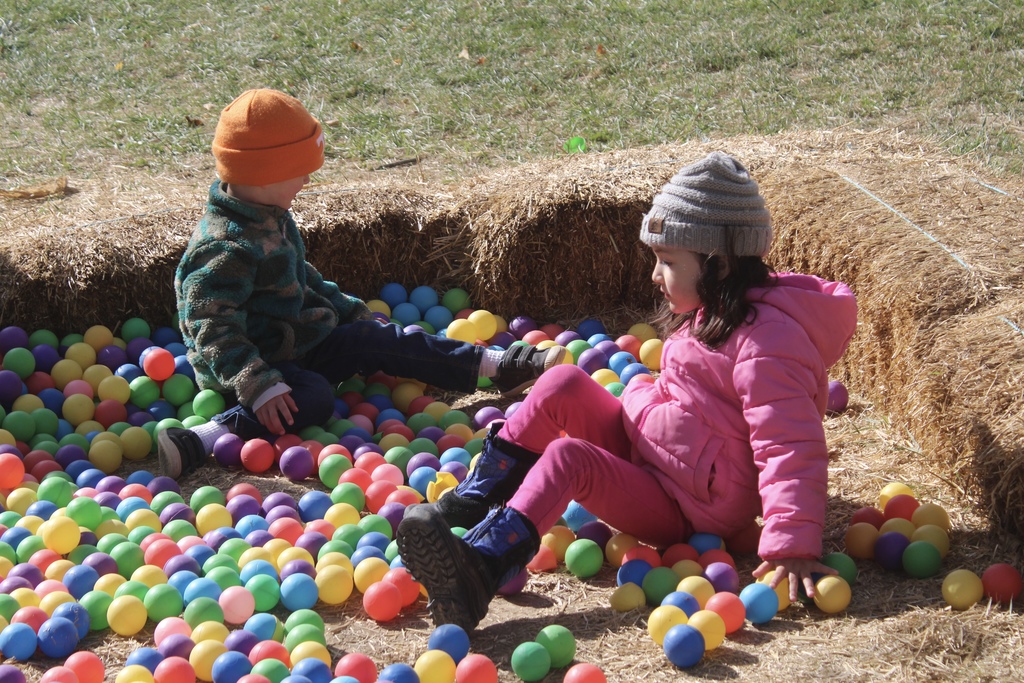 Pumpkin Patch