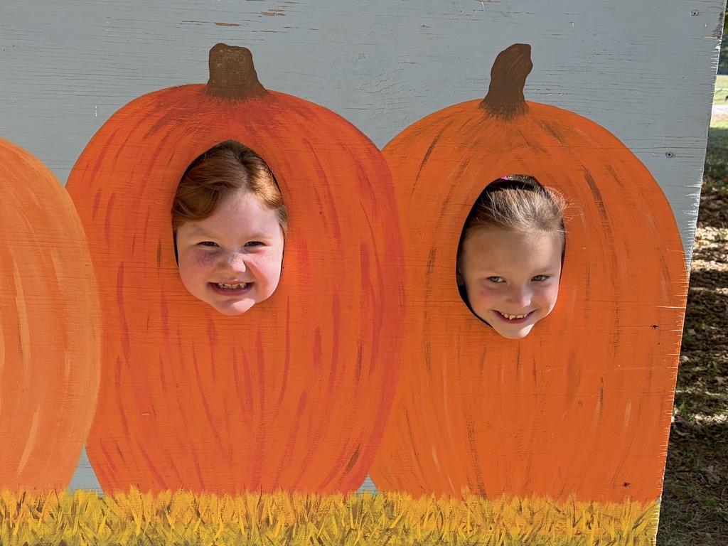 Pumpkin Patch