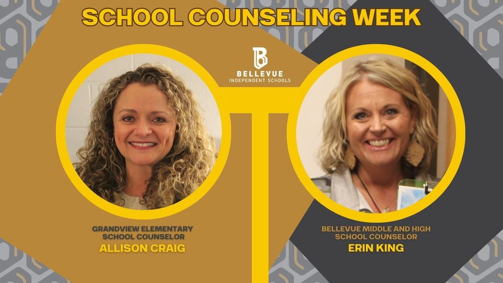 school counselor week
