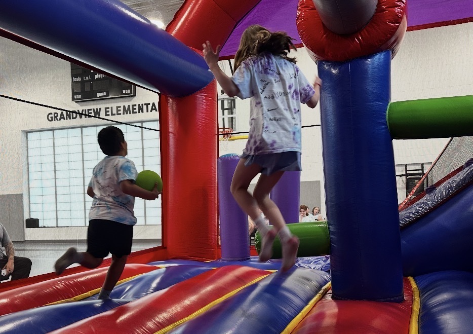 tiger games