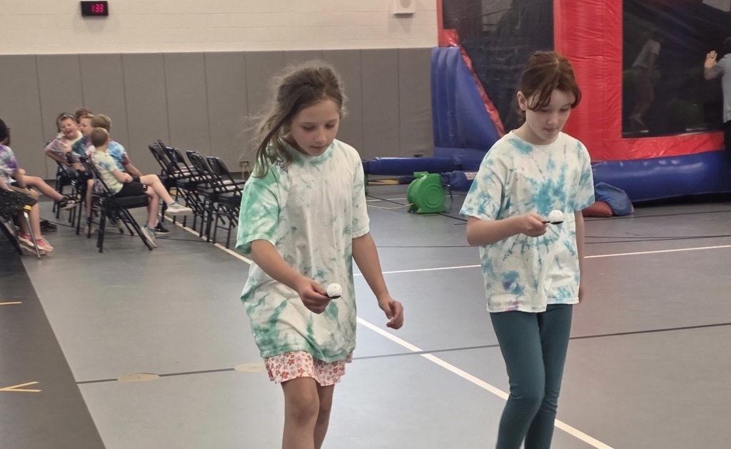 tiger games
