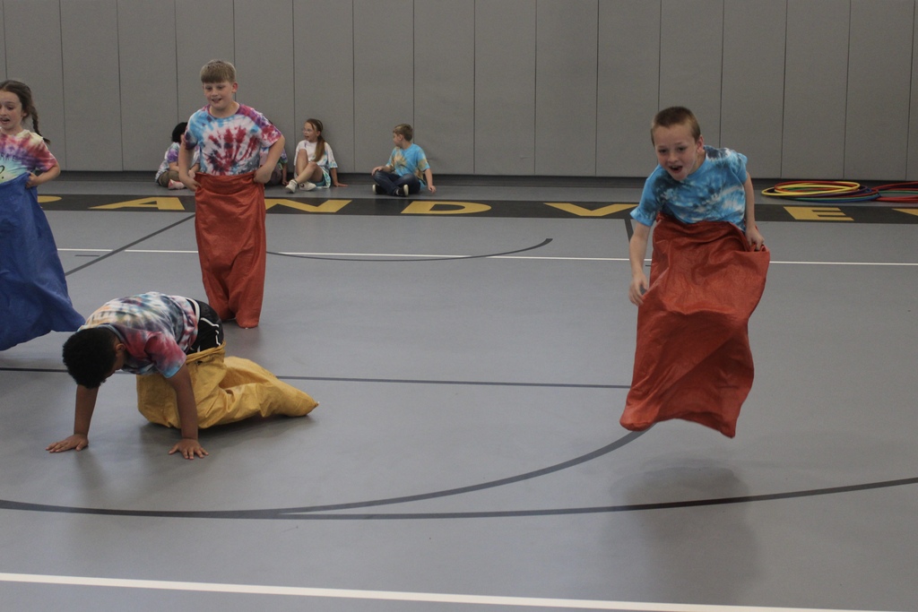 tiger games
