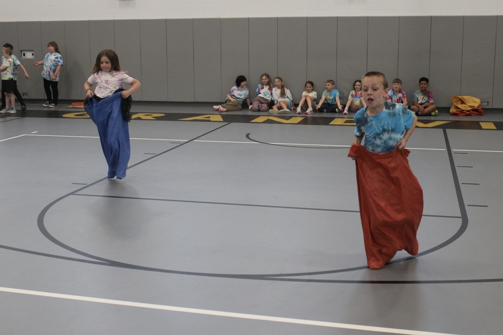tiger games