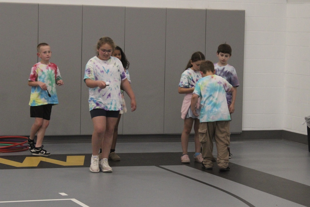 tiger games