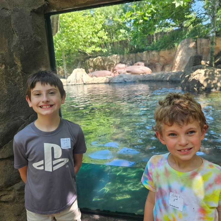 ZOO