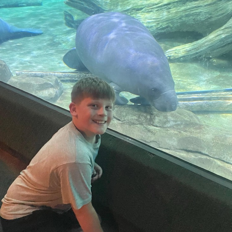ZOO