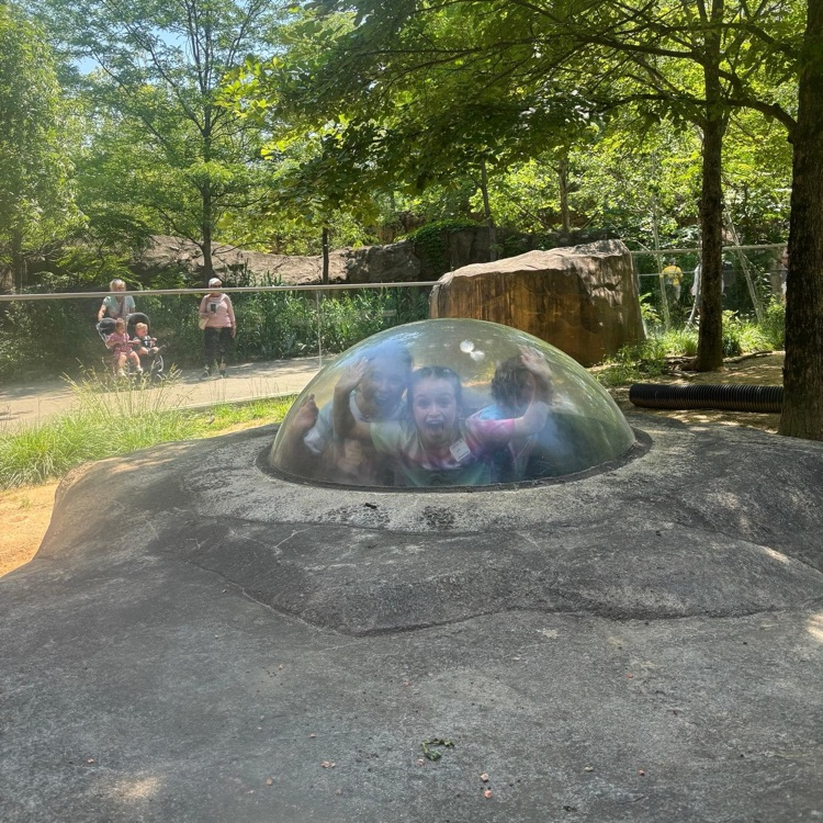 ZOO