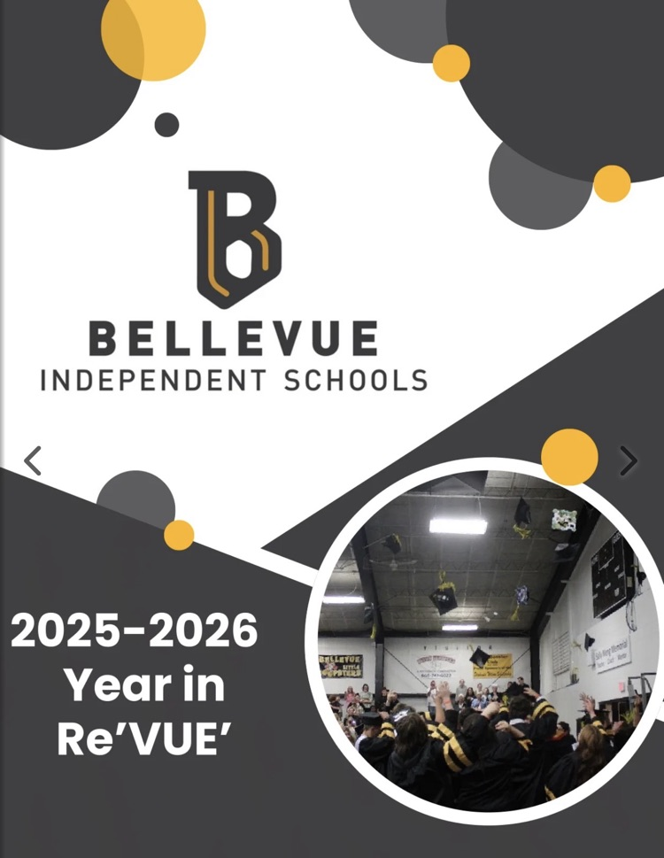 Year in ReVUE