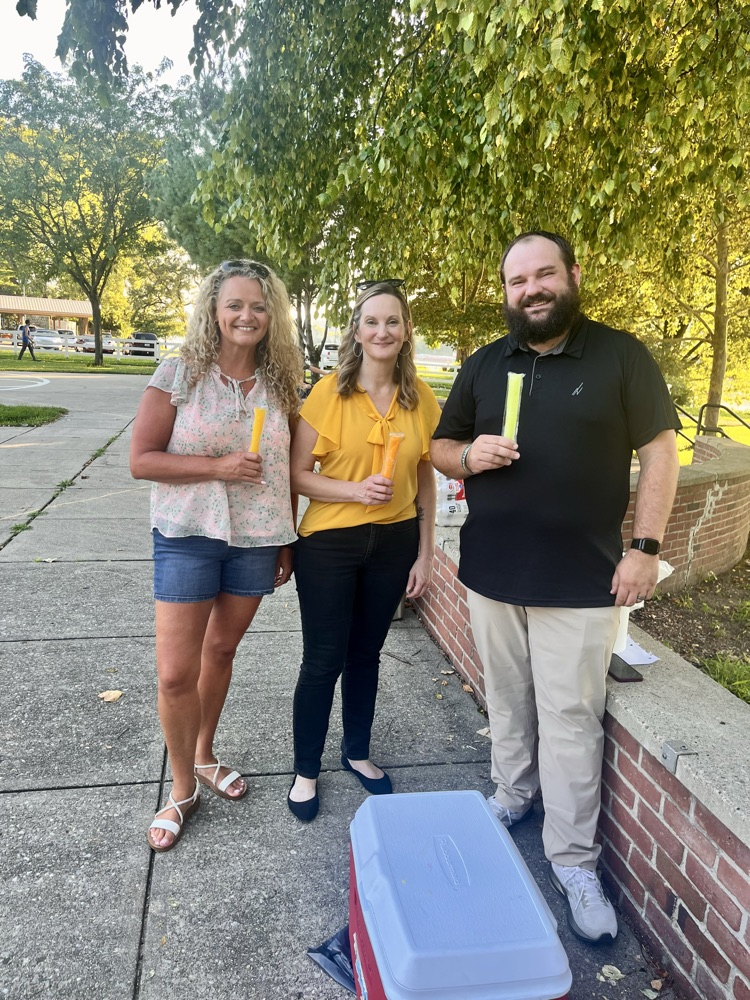 popsicles with principal