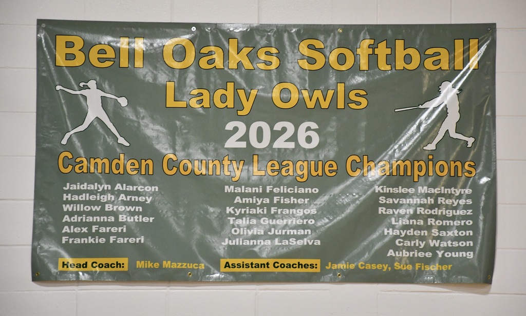 Softball Owls