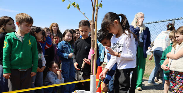 Students planting tree in ground.
