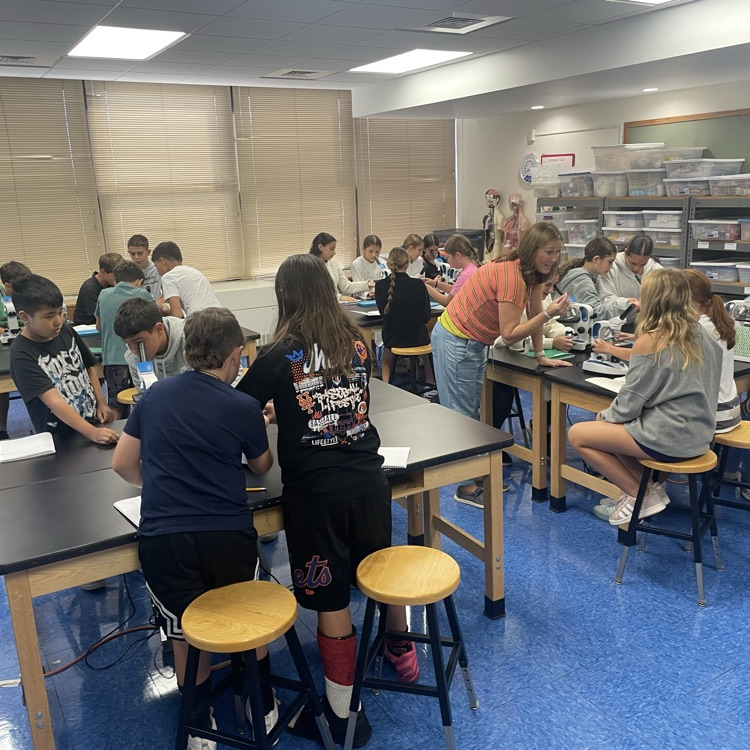 students looking through microscopes