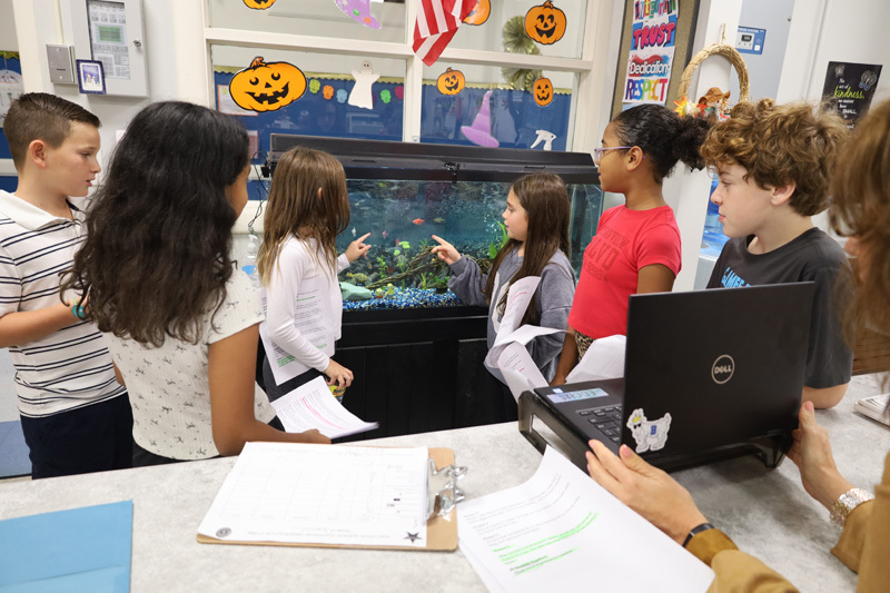 students looking into the fish tank in the classroom
