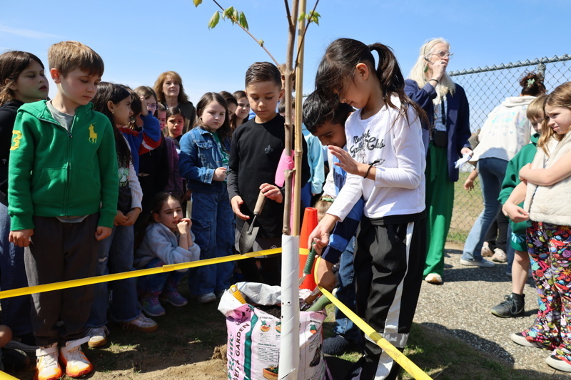 Children participating in a tree planting event, gathered around a young tree as they learn about nature and teamwork.