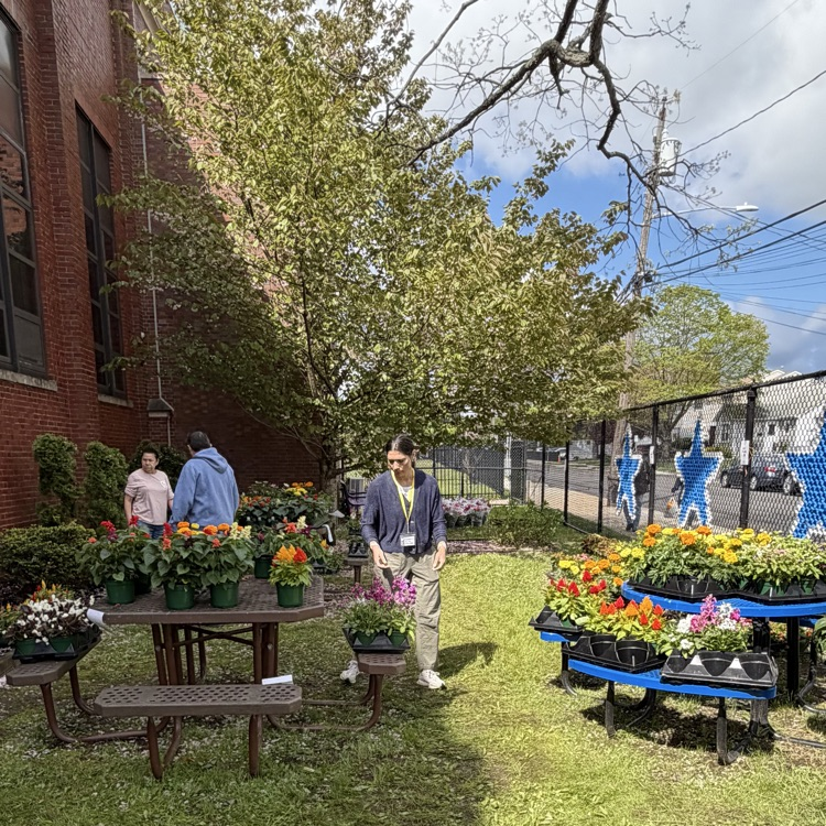 plants in court yard 