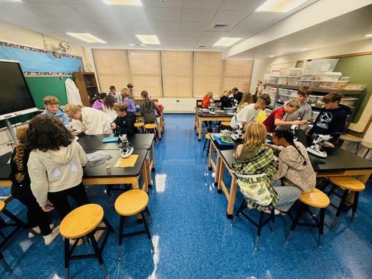 Ms. Neu’s class at Shore Road School