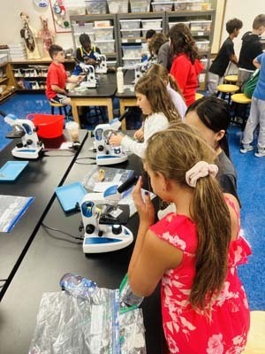 Ms. Neu’s class at Shore Road School
