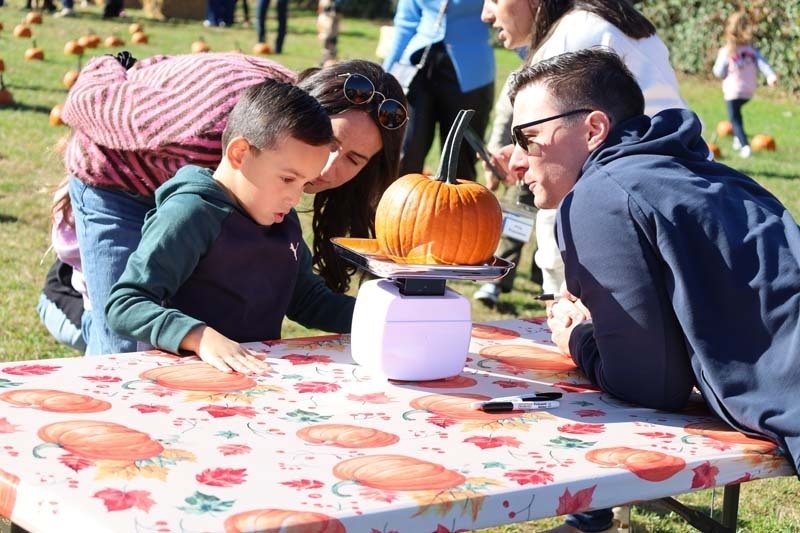 Student holding pumpkin.