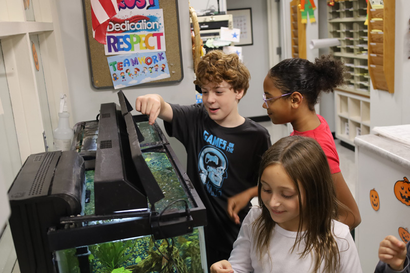 students in classroom