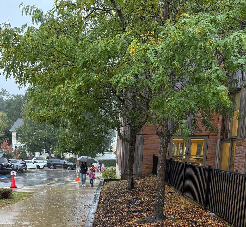 Walk to School Day