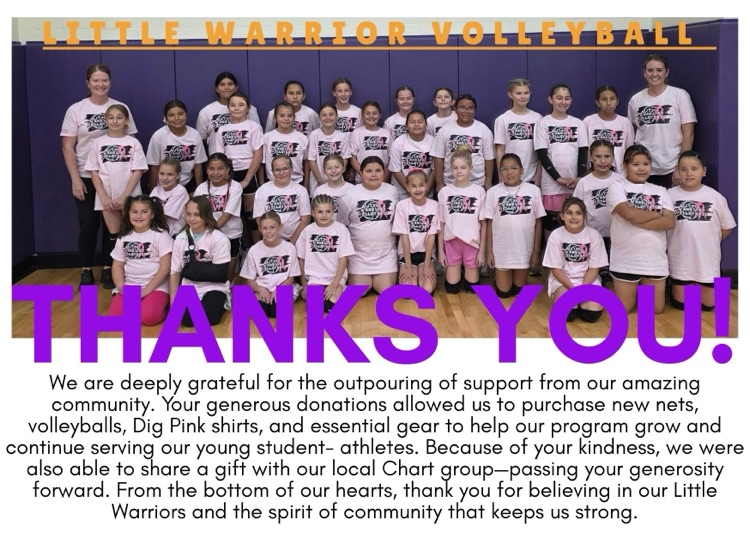 Little Warrior Volleyball