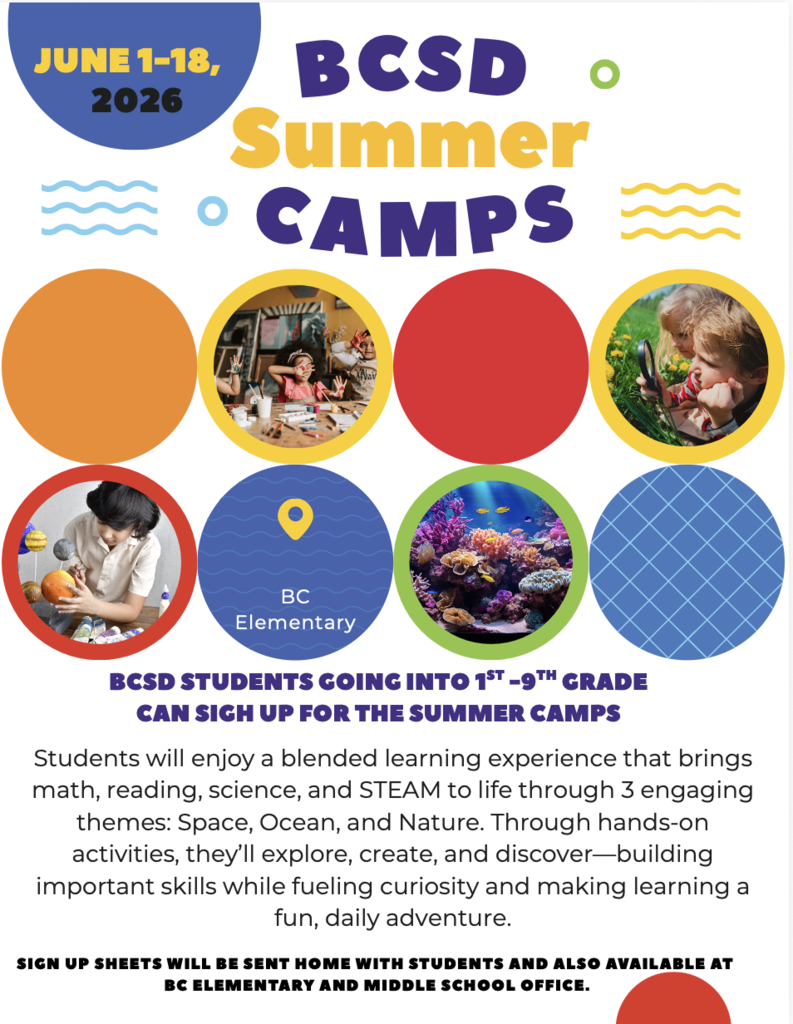 Summer school flyer