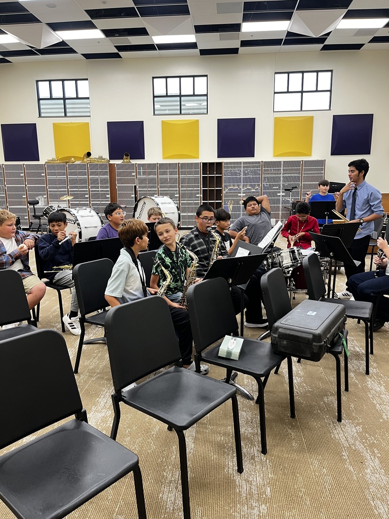 MS Band