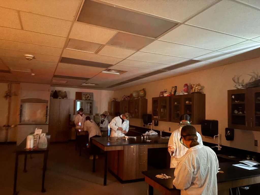 students testing