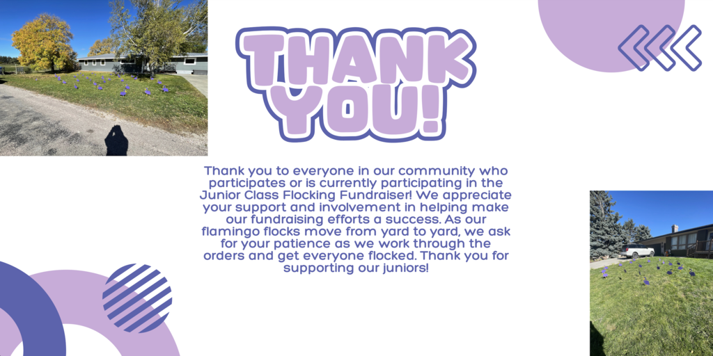 Thanks for all the support-- please be patient while the flocks are moved!