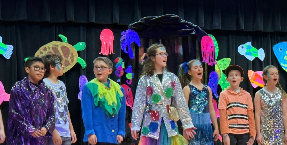 Rainbow Fish