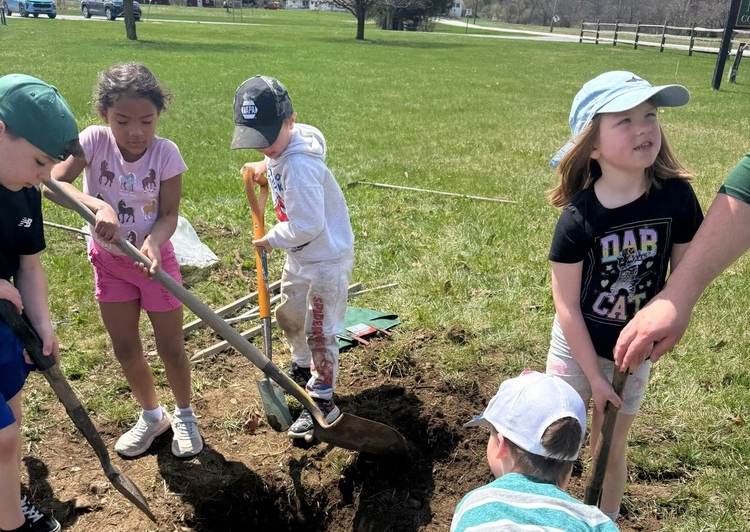 Dig the hole