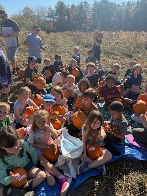 Pumpkin Patch