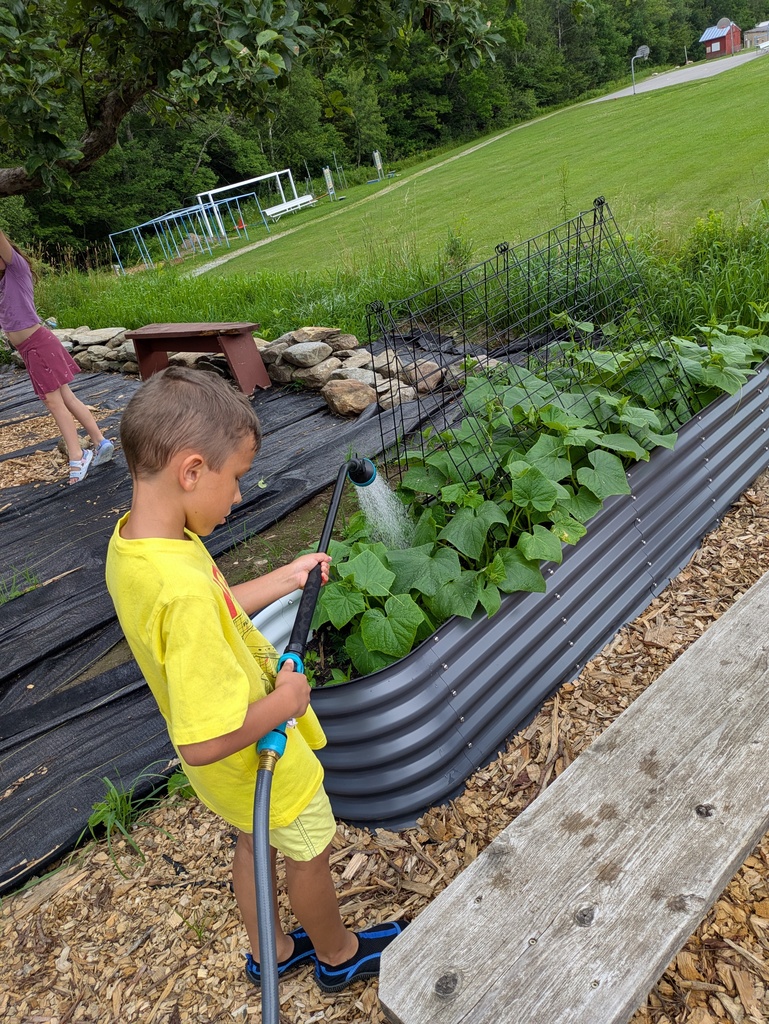 camp kids in garden 3