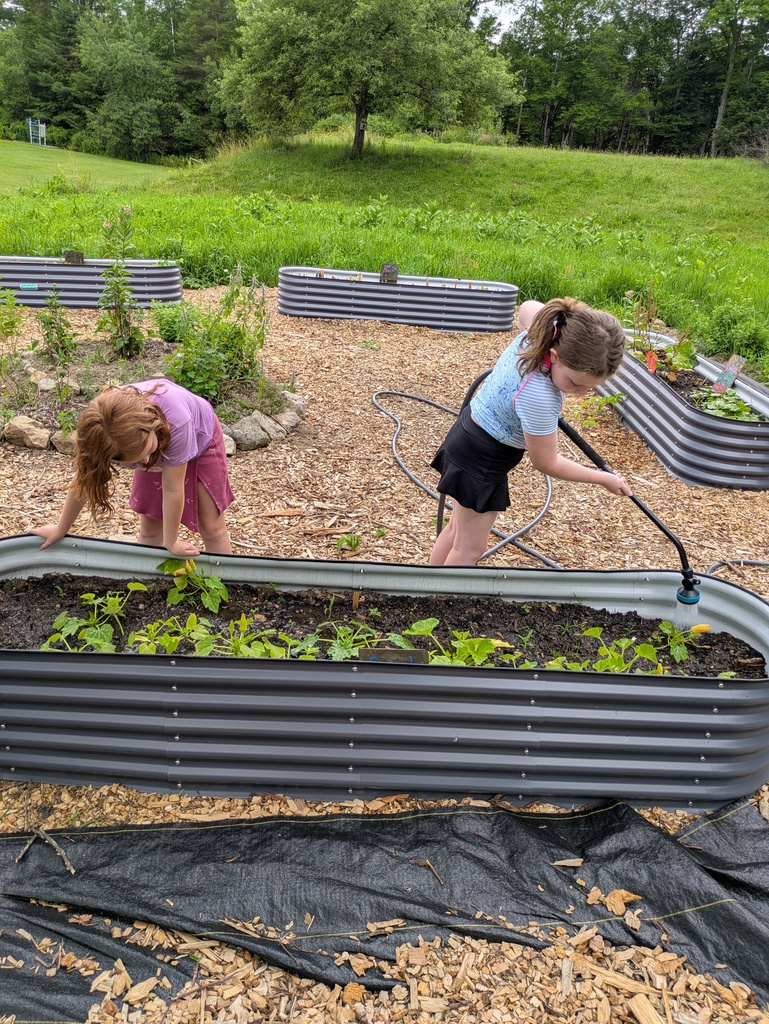 camp kids in garden 4