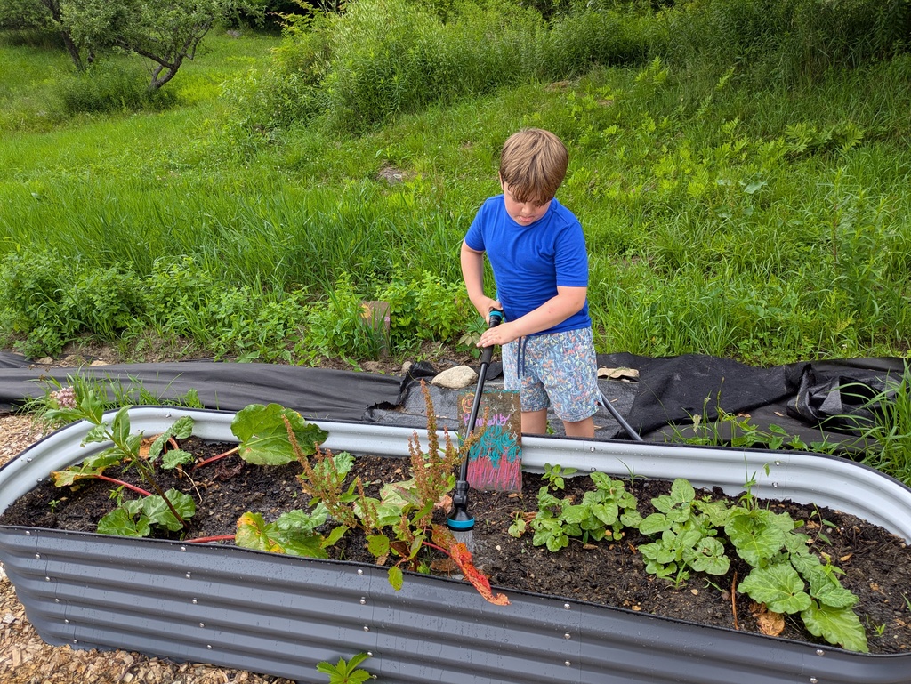camp kids in garden