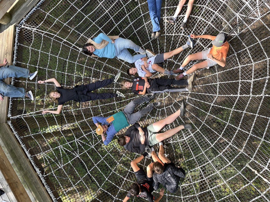 web 2