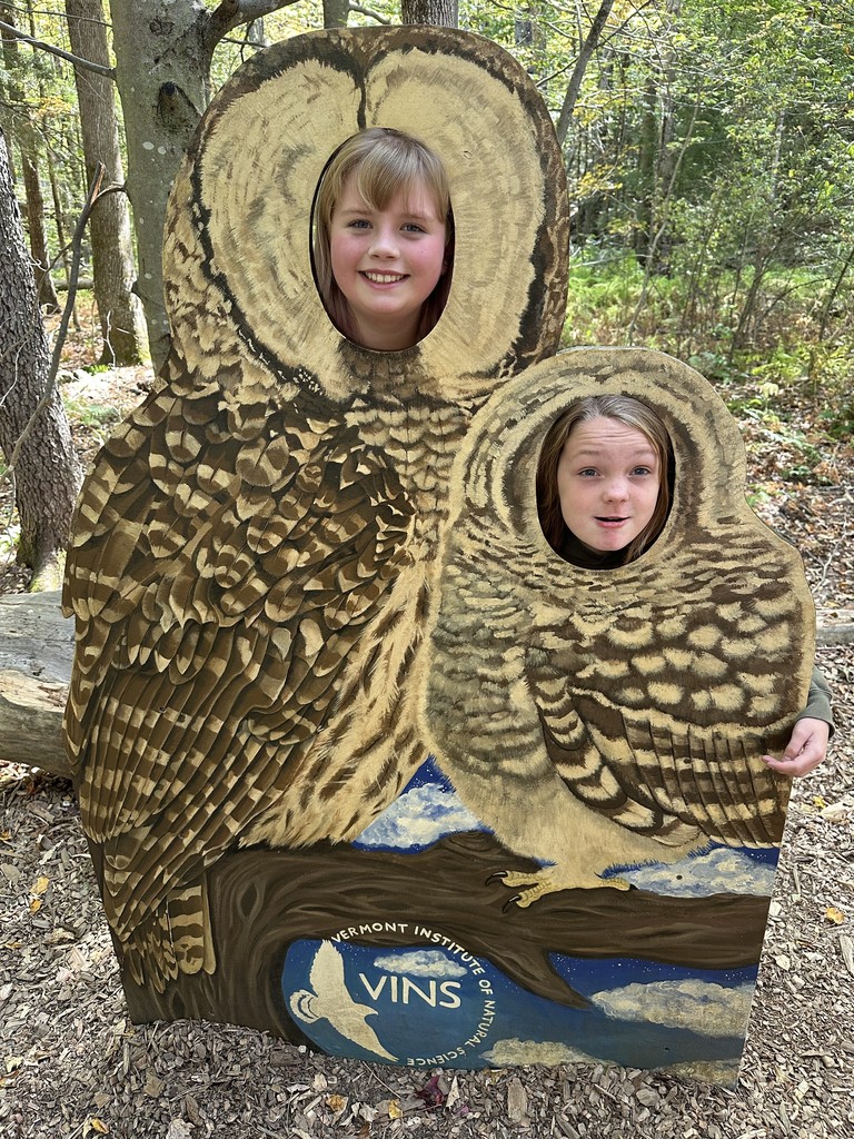owl faces