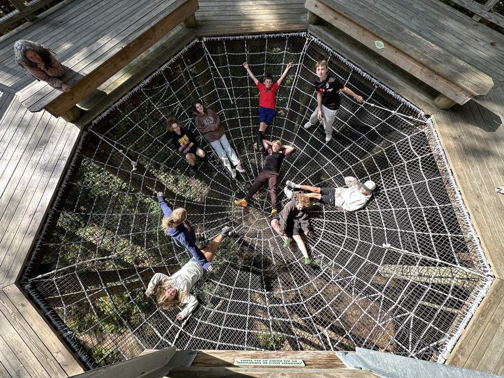 web