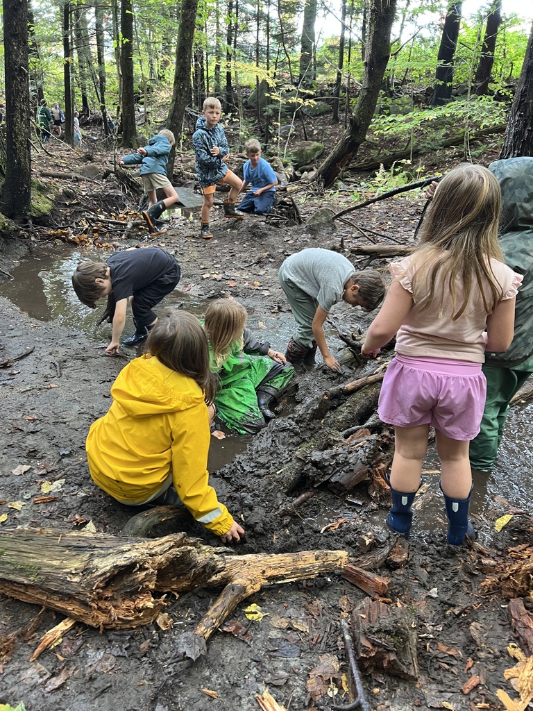 Forest Friday fun2
