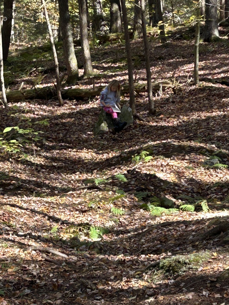 2/3 journaling in the woods