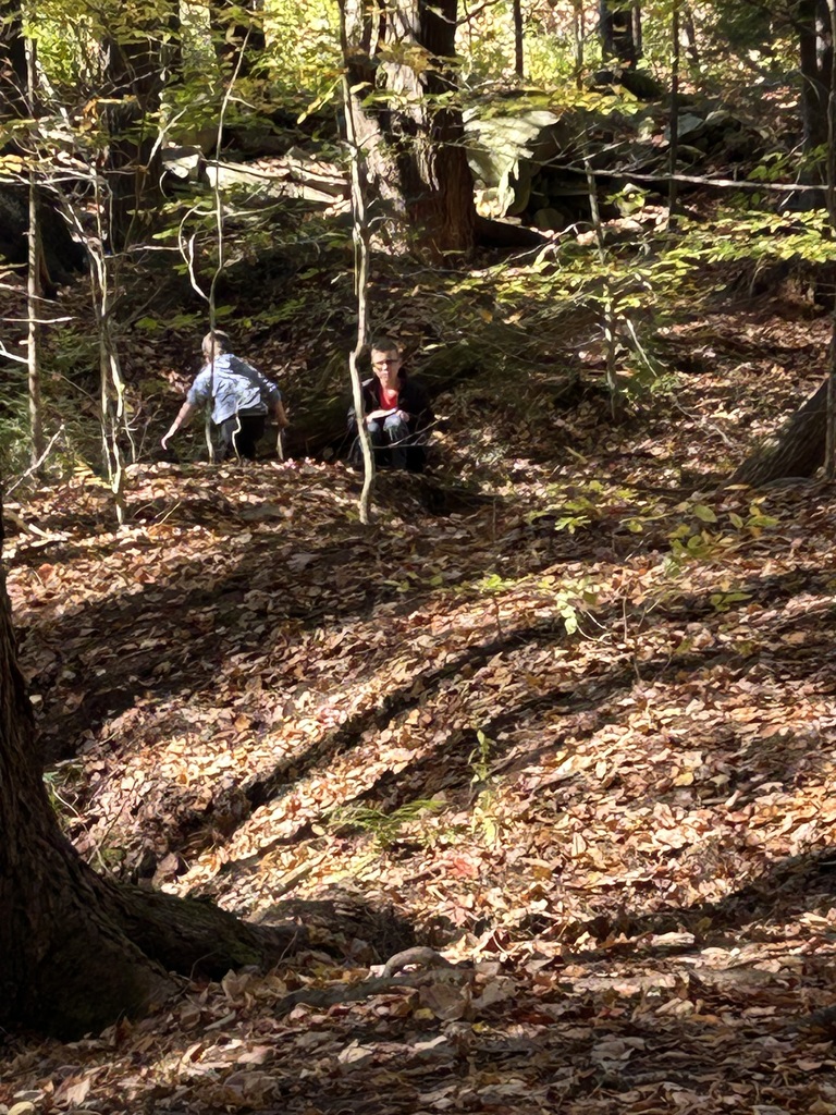 2/3 journaling in the woods