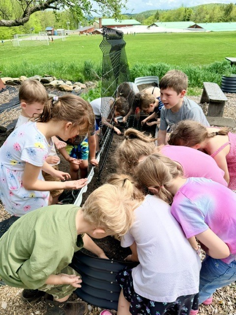 Kindergarten in the Garden