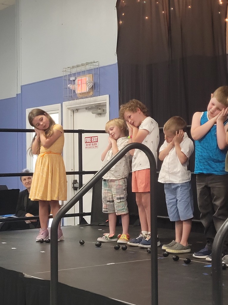 students at concert singing and playing instruments