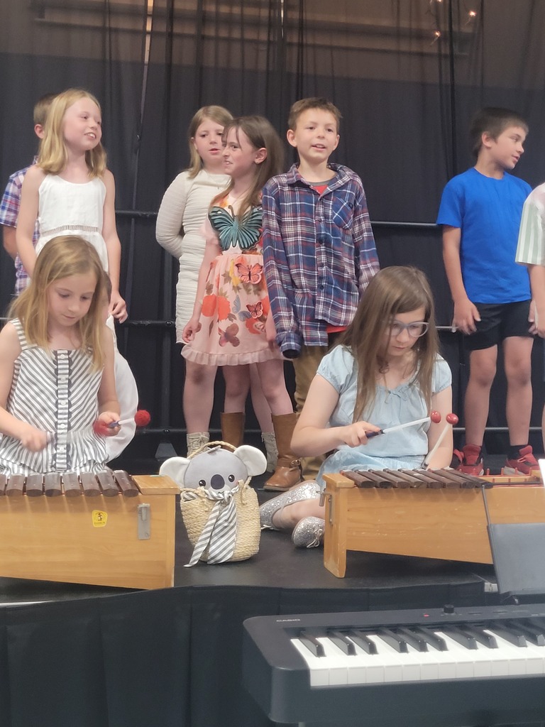 students at concert singing and playing instruments