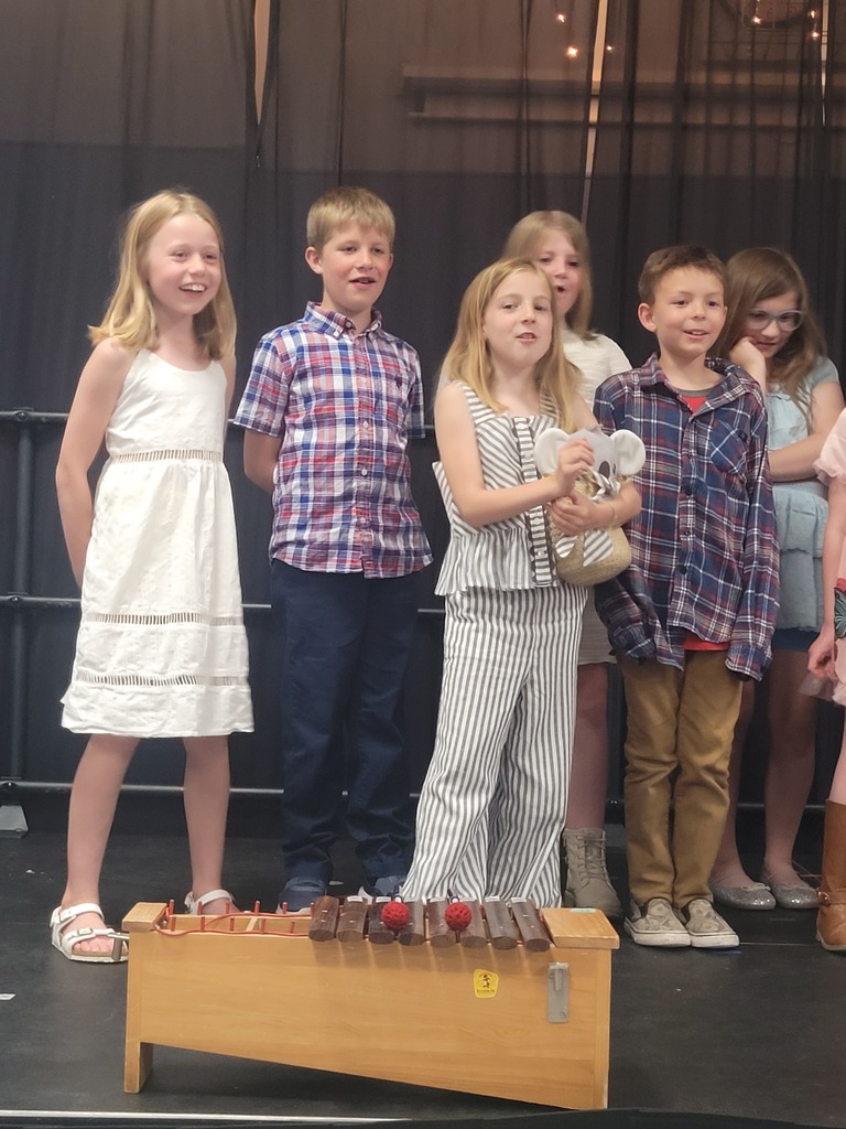 students at concert singing and playing instruments