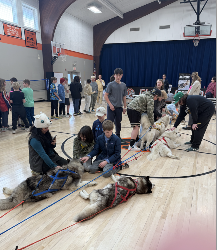 Dog sled