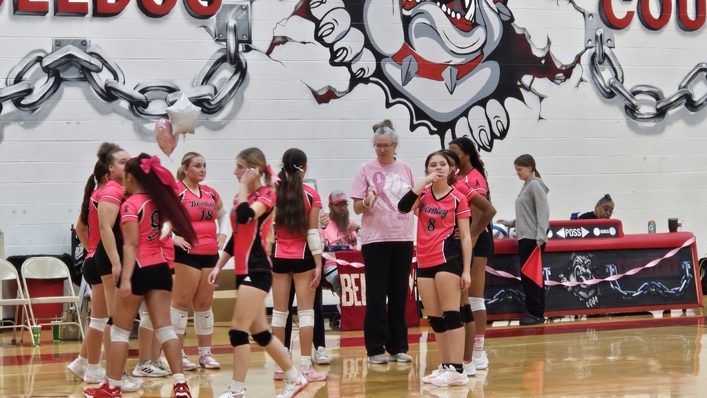 This image depicts girls playing volleyball.